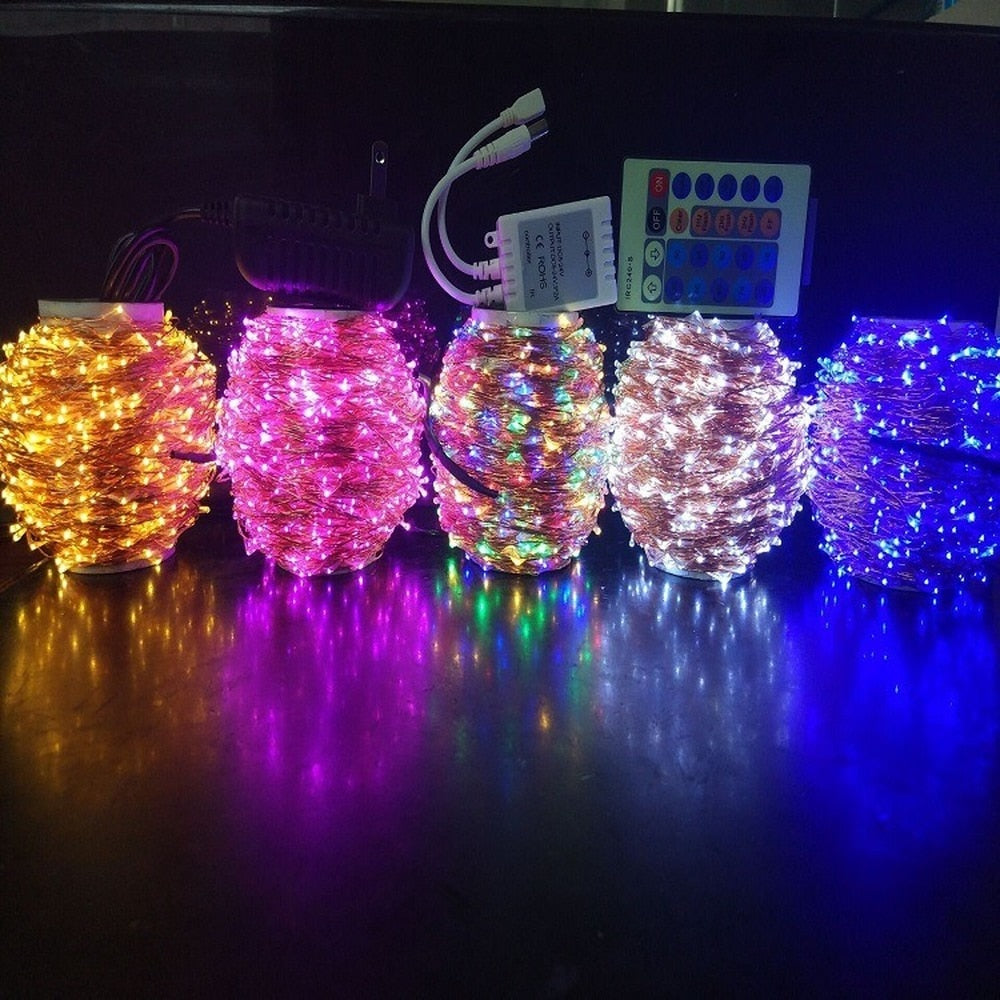 DC24V 100M Remote Christmas Outdoor Wedding Decoration Lights Waterproof LED String Light For Garden Party Home Decor Garland